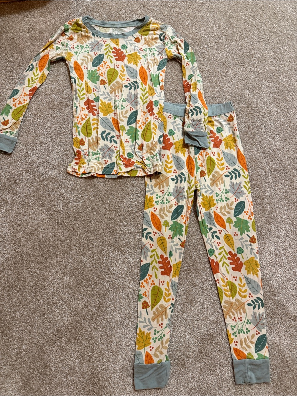 Little sleepies Long Sleeve Leaf-Print Pajamas
